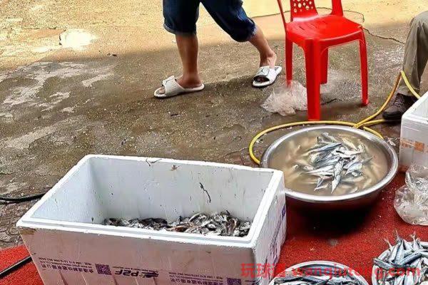 0多名被骗的中国人滞留柬埔寨过春节：有人被持枪绑走不参与行骗就遭毒打，有人被诈骗公司折磨精神出现异常"