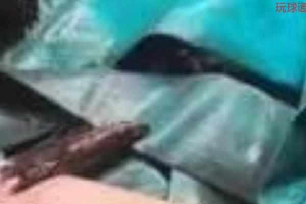 小伙在西港意外死亡，家属频繁接到贷款催收电话？