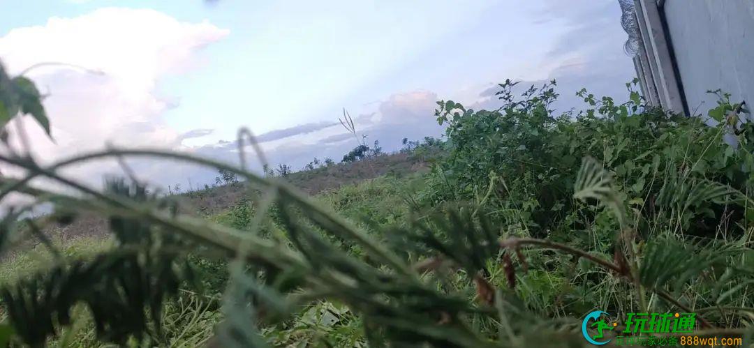 中国男子被卖缅甸遭殴打，电击！挖通道逃脱，穿越三国回国
