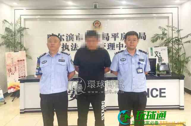 柬埔寨诈骗团伙骨干成员迟某龙被抓